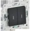 SKANDY Выключатель 2-клавишный проходной с индикацией 10А SK-V10G графит IEK