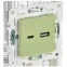 SKANDY Розетка USB A+C 3,1А SK-R14G мятный IEK