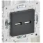 SKANDY Розетка USB A+A 3,1А SK-R15T титан IEK