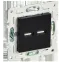 SKANDY Розетка USB A+A 3,1А SK-R15Bl черный IEK