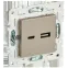 SKANDY Розетка USB A+C 3,1А SK-R14Sh шампань IEK