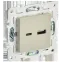 SKANDY Розетка USB A+C 3,1А SK-R14B бежевый IEK