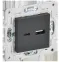SKANDY Розетка USB A+C 3,1А SK-R14T титан IEK