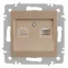 Розетка Intro Accent 6-303-04 информационная RJ45, IP20, СУ, шампань