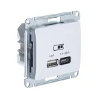                  GLOSSA USB РОЗЕТКА A + тип-C 45W высокоскорост. зарядка QC, PD, механизм, БЕЛЫЙ
               