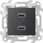 Коннектор 2хUSB, графит