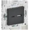 SKANDY Розетка USB A+C 18Вт SK-R13G графит IEK