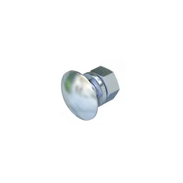 Болт с плоской головкой M10x25
