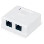Розетка настенная TERACOM PRO Cat.6 неэкранированная 2 порта RJ-45 Dual IDC белая