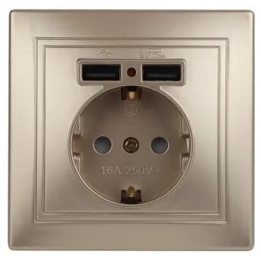 1-410-04 Intro Розетка+USB, IP20, СУ, Plano, шампань | Б0043250 | Intro