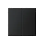                  ARTGALLERY 2-клавишный переключатель, сх.6/2, 10АХ, механизм, карбон
               