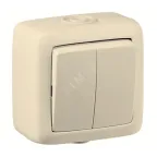                  Выключатель двухклавишный наружный слоновая кость IP44 10А
               