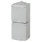 Розетка 2х2P+E верт. IP65, шторки, 16A-250В, ОУ, Эра Эксперт, серый, 11-2608-03