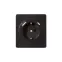 Розетка ROUND одинарная с/з скрытой установки з/ш 16А с USB A+C быстрой зарядки 5В/3А механизм оникс