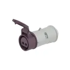                  Розетка кабельная CS IP44 16A 2P 25В
               