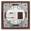 Розетка информационная RJ45, СУ, Plano, венге, 1-303-10