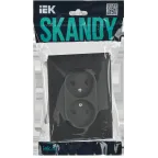 SKANDY Розетка 2-местная без заземления без защитных шторок 10А в сборе SK-R10T титан IEK