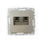 BRITE Розетка компьютерная двойная RJ45 кат.6 РК11-2-БрШ шампань IEK