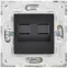 SKANDY Розетка компьютерная двойная RJ45 кат.5E SK-K03Bl черный IEK