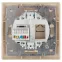 Розетка информационная RJ45, СУ, Plano, шампань, 1-303-04