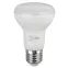 Лампа светодиодная LED R63-8W-865-E27 R (диод, рефлектор, 8Вт, хол, E27) (10/100/1500)
