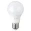 Лампа светодиодная LED 8 Вт 640Лм 6500К груша холодный E27 220-240В LED A60-8W-865-E27 Red Line