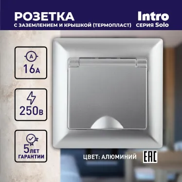 Розетка 2P+E Schuko с крышкой, 16А-250В, СУ, Solo, алюминий, 4-203-03