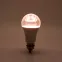 Лампа светодиодная LED 12вт Е27 для растений и рассады