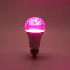 Лампа светодиодная LED 15вт Е27 для растений и рассады