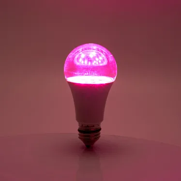 Лампа светодиодная LED 15вт Е27 для растений и рассады