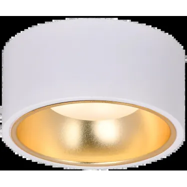 LIGHTING Светильник 4017 накладной потолочный под лампу GX53 белый/золото IEK
