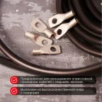 Наконечник медный луженый ТМЛ-Р 10–6 (10кв мм - 6мм) 100шт, REXANT