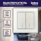 Выключатель Intro Solo 4-105-06