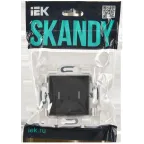 SKANDY Выключатель 2-клавишный с индикацией 10А SK-V09T титан IEK