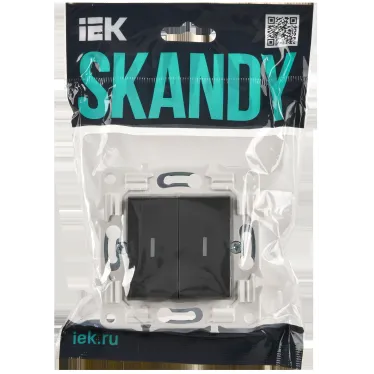 SKANDY Выключатель 2-клавишный с индикацией 10А SK-V09T титан IEK