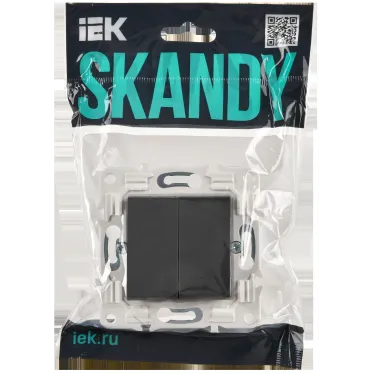 SKANDY Выключатель 2-клавишный 10А SK-V04T титан IEK