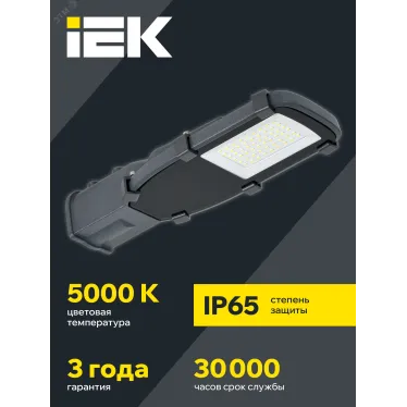 Светильник LED консольный уличный ДКУ 1002-30Д 5000К IP65 серый