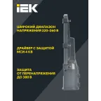 Светильник LED консольный уличный ДКУ 1002-30Д 5000К IP65 серый