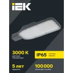 Светильник LED консольный уличный ДКУ 1004-50Ш 3000К IP65 серый