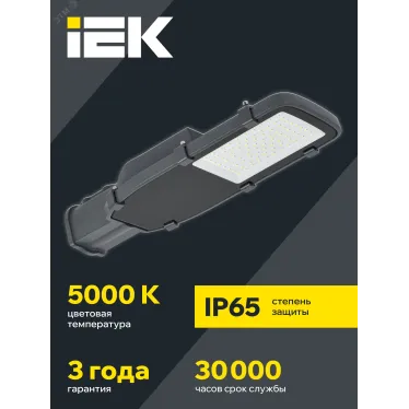 Светильник LED консольный уличный ДКУ 1002-50Д 5000К IP65 серый