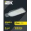 Светильник LED консольный уличный ДКУ 1004-100Ш 5000К IP65 серый