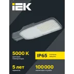 Светильник LED консольный уличный ДКУ 1004-100Ш 5000К IP65 серый