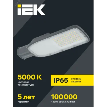 Светильник LED консольный уличный ДКУ 1004-100Ш 5000К IP65 серый