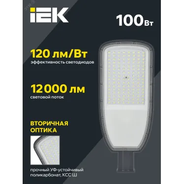 Светильник LED консольный уличный ДКУ 1004-100Ш 5000К IP65 серый