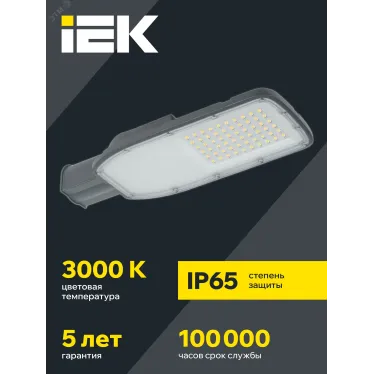 Светильник LED консольный уличный ДКУ 1004-100Ш 3000К IP65 серый
