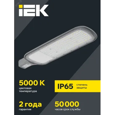 Светильник LED консольный уличный ДКУ 1012-200Ш 5000К IP65 серый