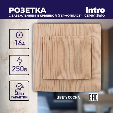 Розетка 2P+E Schuko с крышкой, 16А-250В, СУ, Solo, сосна, 4-203-11