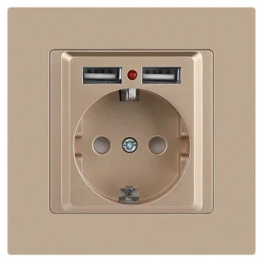 Розетка Intro Accent 6-410-04 , P+E Schuko со шторками, 16А-250В + 2хUSB, IP20, СУ, шампань
