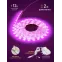 Светодиодная лента для растений FITO-Strip Light-RB-2m красно-синего спектра, 2 м, IP65