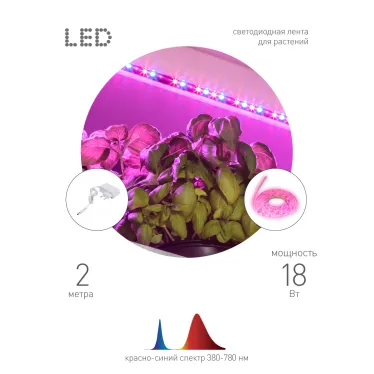 Светодиодная лента для растений FITO-Strip Light-RB-2m красно-синего спектра, 2 м, IP65